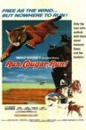 Run, Cougar, Run Movie Streaming Online