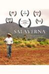 Salaverna Movie Streaming Online