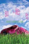 Satellites & Meteorites Movie Streaming Online