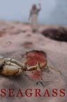 Seagrass Movie Streaming Online