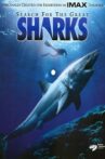 Search for the Great Sharks Movie Streaming Online