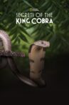 Secrets of the King Cobra Movie Streaming Online