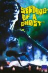 Seeding of a Ghost Movie Streaming Online