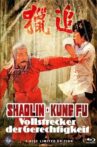 Shaolin Kung Fu Master Movie Streaming Online
