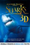Sharks 3D Movie Streaming Online