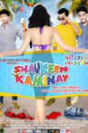 Shaukeen Kaminay Movie Streaming Online