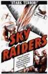 Sky Raiders Movie Streaming Online