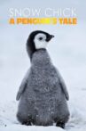 Snow Chick - A Penguin's Tale Movie Streaming Online