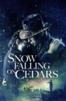Snow Falling on Cedars Movie Streaming Online
