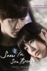 Snow Is on the Sea Breeze Movie Streaming Online