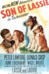 Son of Lassie Movie Streaming Online