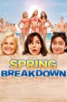 Spring Breakdown Movie Streaming Online