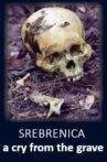 Srebrenica: A Cry from the Grave Movie Streaming Online