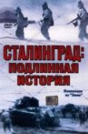 Stalingrad Movie Streaming Online