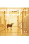 Still Life Movie Streaming Online