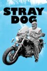 Stray Dog Movie Streaming Online