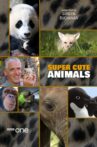Super Cute Animals Movie Streaming Online