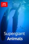 Supergiant Animals Movie Streaming Online