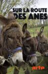 Sur la route des ânes Movie Streaming Online