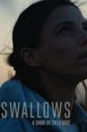 Swallows Movie Streaming Online