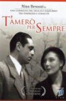 T'amerò sempre Movie Streaming Online