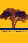 Taste of Cherry Movie Streaming Online