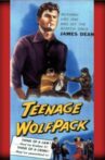 Teenage Wolfpack Movie Streaming Online