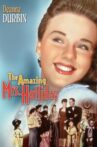 The Amazing Mrs. Holliday Movie Streaming Online