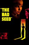 The Bad Seed Movie Streaming Online
