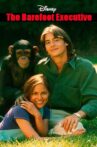 The Barefoot Executive Movie Streaming Online