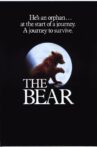 The Bear Movie Streaming Online