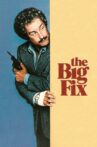The Big Fix Movie Streaming Online