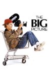 The Big Picture Movie Streaming Online