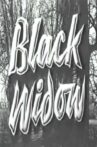 The Black Widow Movie Streaming Online
