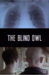 The Blind Owl Movie Streaming Online
