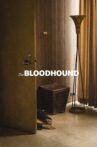The Bloodhound Movie Streaming Online