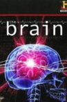 The Brain Movie Streaming Online