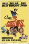 The Burglars Movie Streaming Online