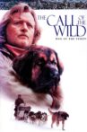 The Call of the Wild: Dog of the Yukon Movie Streaming Online