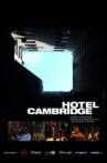 The Cambridge Squatter Movie Streaming Online