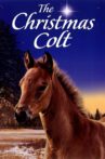 The Christmas Colt Movie Streaming Online