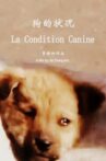 The Condition of Dogs Movie Streaming Online