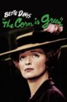 The Corn Is Green Movie Streaming Online