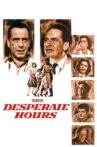 The Desperate Hours Movie Streaming Online