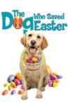 The Dog Who Saved Easter Movie Streaming Online
