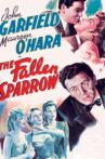 The Fallen Sparrow Movie Streaming Online