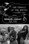 The Female of the Species Movie Streaming Online