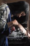 The Foolish Bird Movie Streaming Online