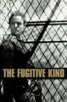 The Fugitive Kind Movie Streaming Online
