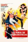 The Fury of the Karate Experts Movie Streaming Online